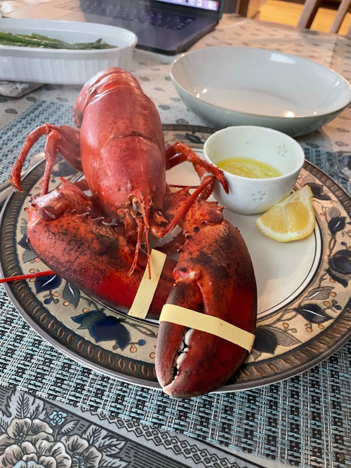 6F94DDF3-4748-43AC-8DF1-84598C67F430