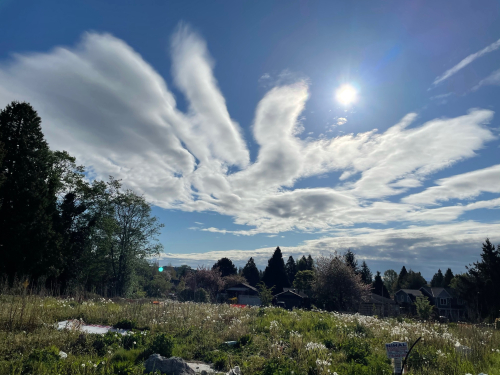 08CD9A63-01B4-449D-BA6A-F5DBEF94D001 08CD9A63-01B4-449D-BA6A-F5DBEF94D001