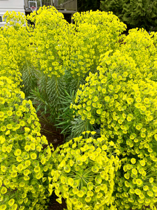 9DBA8FEA-8EF5-4720-B108-774E03C9EFBE 9DBA8FEA-8EF5-4720-B108-774E03C9EFBE