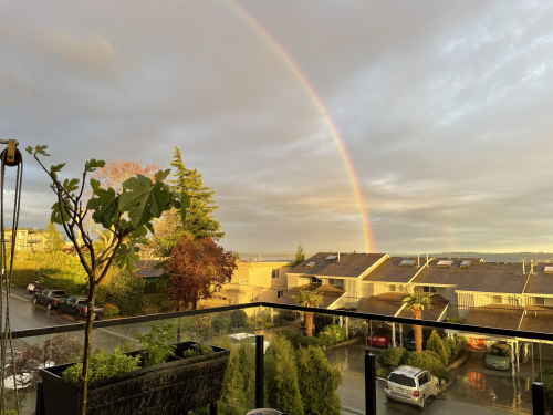 AC4469EE-4102-4519-B76D-44843105D6BA AC4469EE-4102-4519-B76D-44843105D6BA