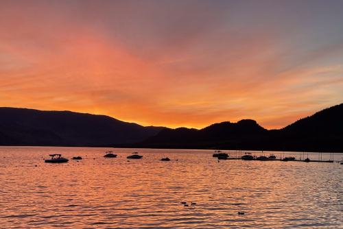 DF91AE5E-64BF-4E52-8FE3-34DC3585EF3C DF91AE5E-64BF-4E52-8FE3-34DC3585EF3C