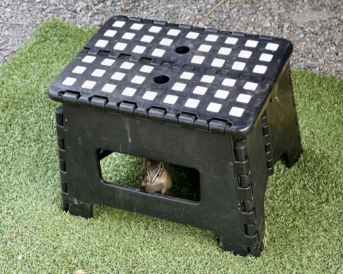 6B8849C6-EABC-4E35-8888-407875F65ABA 6B8849C6-EABC-4E35-8888-407875F65ABA