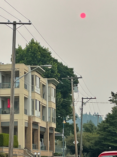 DE0B1188-B8F9-476E-9C07-674ADA7CB9EF