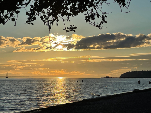 5EAA472F-ADB3-4516-B828-121CF102FF5B