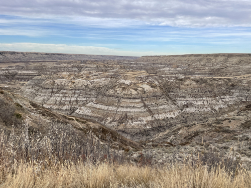 7900875D-66EE-49BB-8AD0-049BC219F0C4