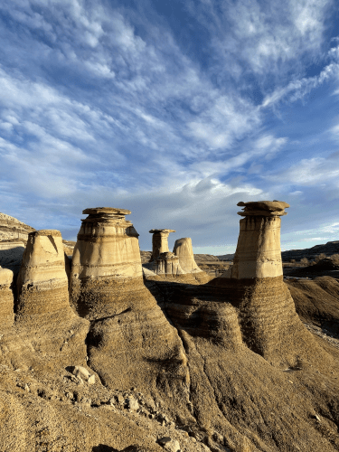 4E42E899-3B4B-41F0-BEC2-B75459DA5D37