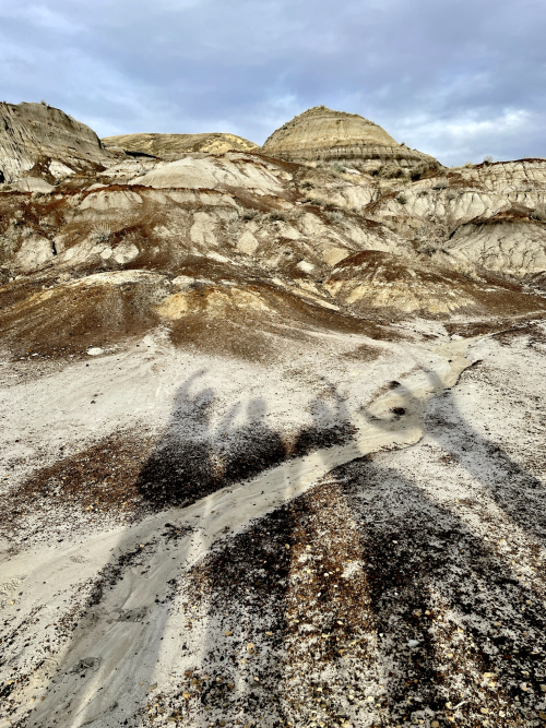 4F787FBE-5DE3-4D0C-98A9-ACA2B107B070