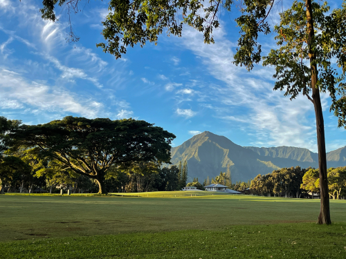 62450ABE-5A0C-440A-A7B9-E9CDF30E6531