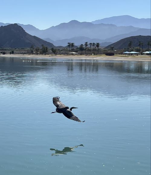 4A15C663-A9DF-4765-923E-2334544D0923