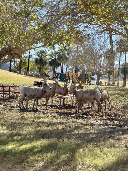 4C78BC5D-CAD1-4514-87EF-21BA76E9D824