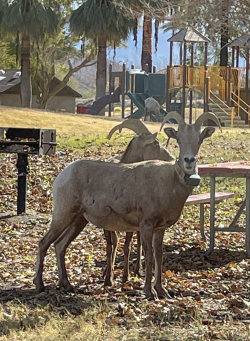 59CB00FC-D178-44E2-9A6D-05335FE8E950