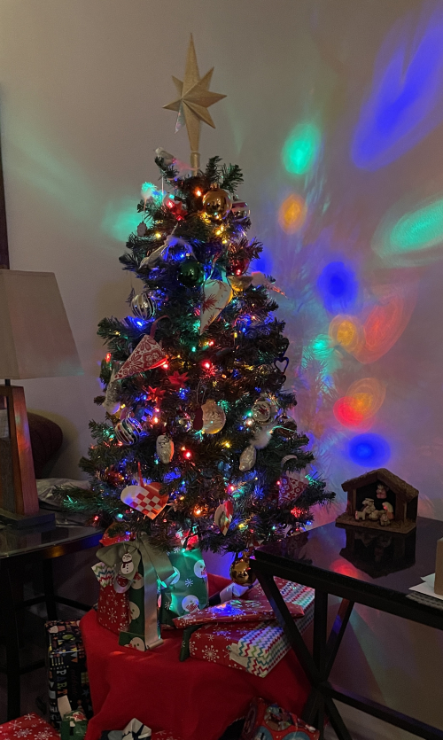 AA96890F-65B5-4215-AF47-723410EAB4C0