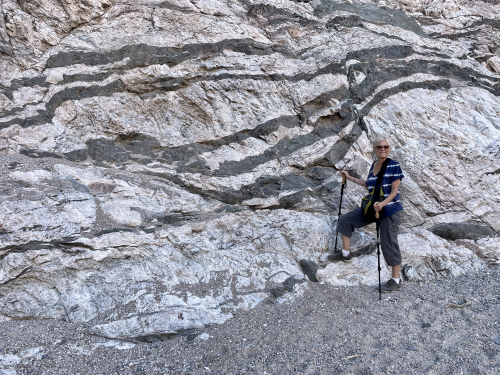 13F39FFD-00A7-4A19-9B1E-70C752296AE9