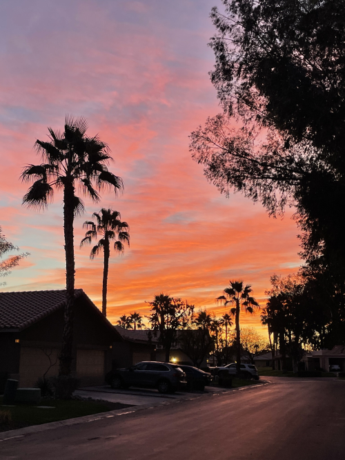 6D4CDE02-30CB-4E23-8985-E46568105BA8