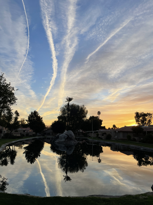 5AE3E8EA-37DA-4614-8AC6-8AB5006DF8D8