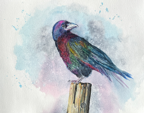 EBB6804E-CE78-4A5F-92B2-019AAFE84F17