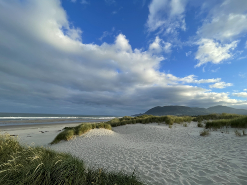 3C39C6C4-9971-4A71-9BDD-8F96437BD97E