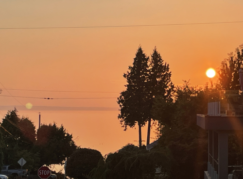 EA060E44-CD59-427A-B1CE-BA86D6E86904