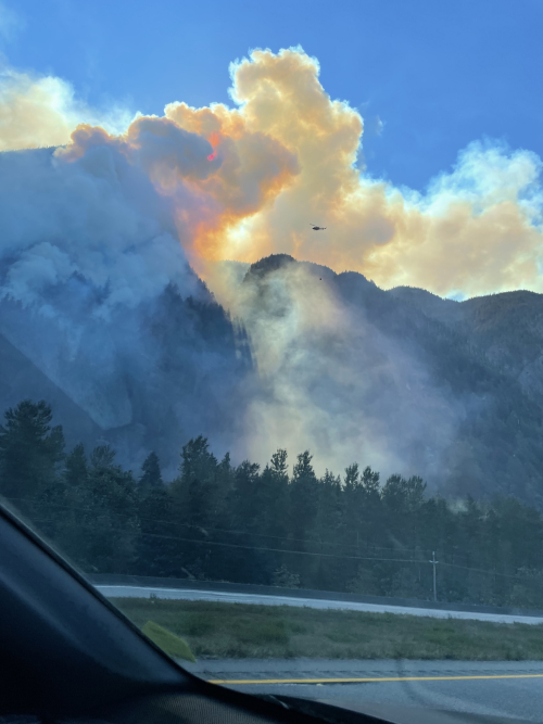 D3B6DEC2-DFE7-45D8-9226-48D8C2B379AC D3B6DEC2-DFE7-45D8-9226-48D8C2B379AC