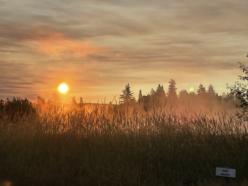 3E2F24F6-57EF-4581-9FB6-BDBC3A21703A 3E2F24F6-57EF-4581-9FB6-BDBC3A21703A