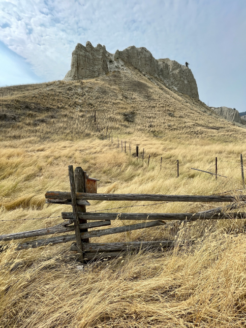 F0A62171-A7A0-423D-8E27-D6BF69F63407 F0A62171-A7A0-423D-8E27-D6BF69F63407