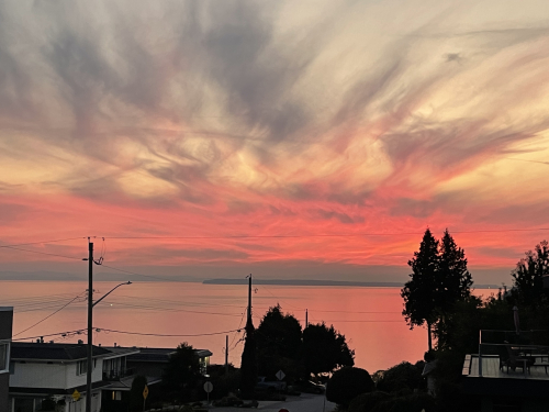 234120B1-44AC-4A42-92A6-1EA73AE88E3C 234120B1-44AC-4A42-92A6-1EA73AE88E3C