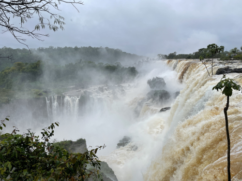 55AD3D5F-07D0-4A8C-8C78-C75FF643F9E1