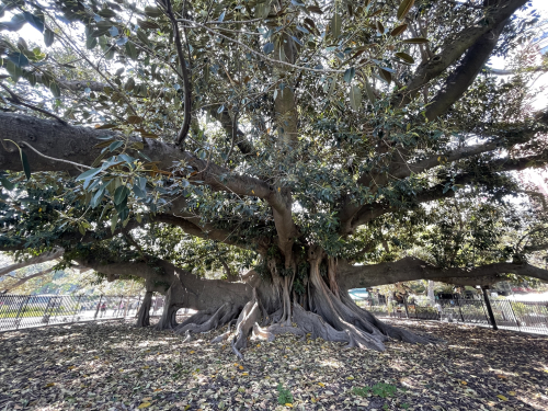 97DBFD7A-6EA9-4261-BCE2-4C8F62F64640