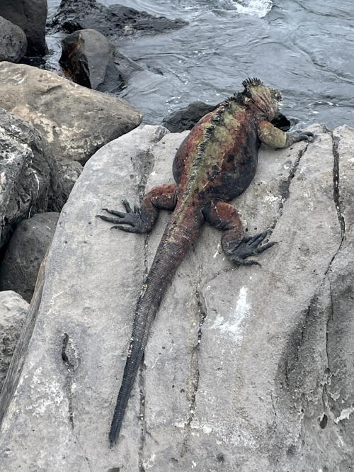 5B389982-0A46-40B3-B1B7-EF29ABB0341B