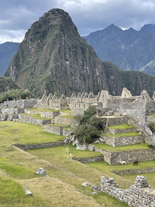 0B056EA7-C027-46C4-A990-EB648F6B017B