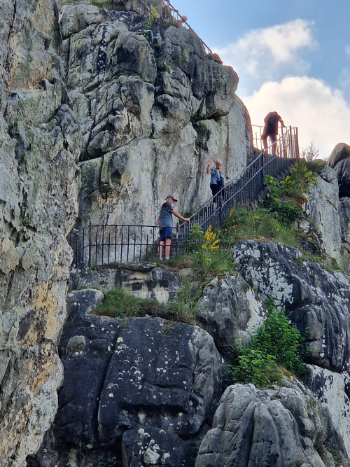 3d45a85b-4b96-492d-9da7-aa4ebb561373