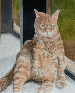 F1E021BF-6B19-4CC0-8589-51D3D9F55154_1_201_a