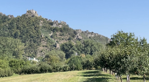 347F80AD-2428-489A-90B6-44E8C1992595_1_201_a