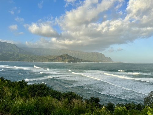 F8F91913-017B-4E18-A446-40854D09CB09_1_201_a