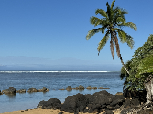 8187FAB6-4026-4D60-968C-05BE6F5CD205_1_201_a