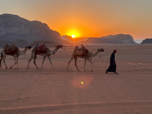 32f24cc6-89e1-48c9-8530-4cad8ee2d84e